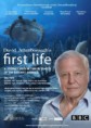 První život (2010) CZ